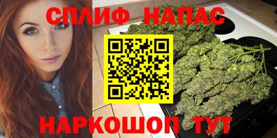 сатива Кулебаки