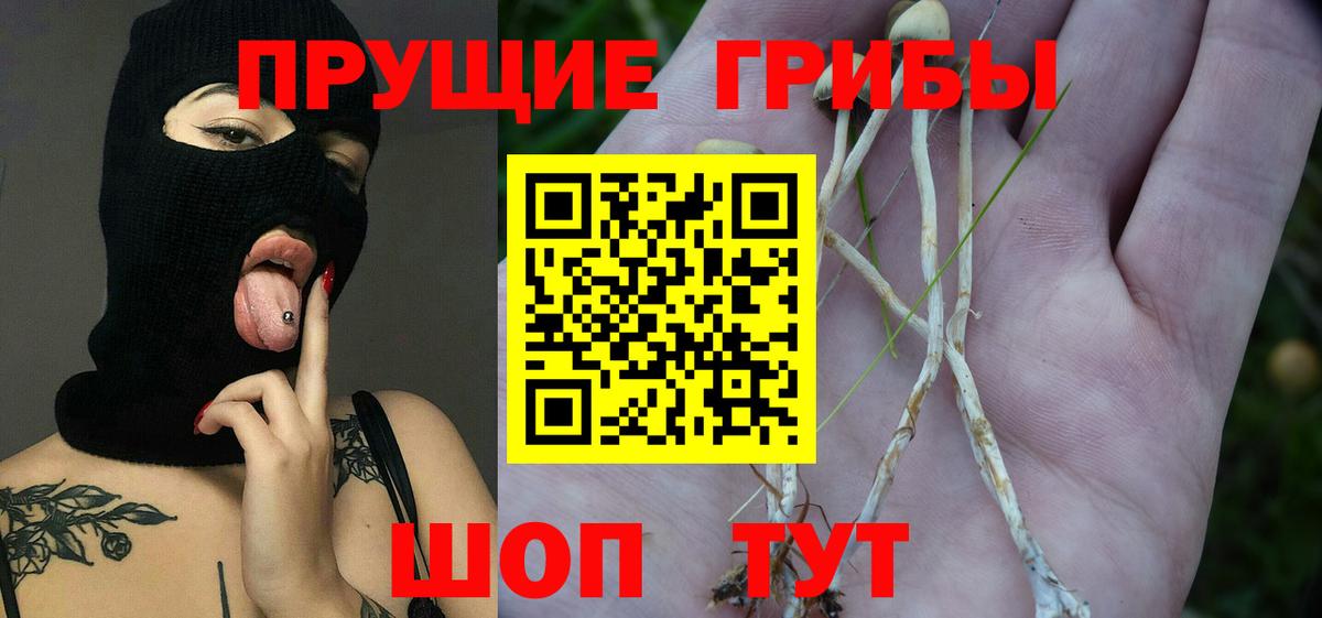 Галлюциногенные грибы Cubensis  Вход с VPN  Фрязино 